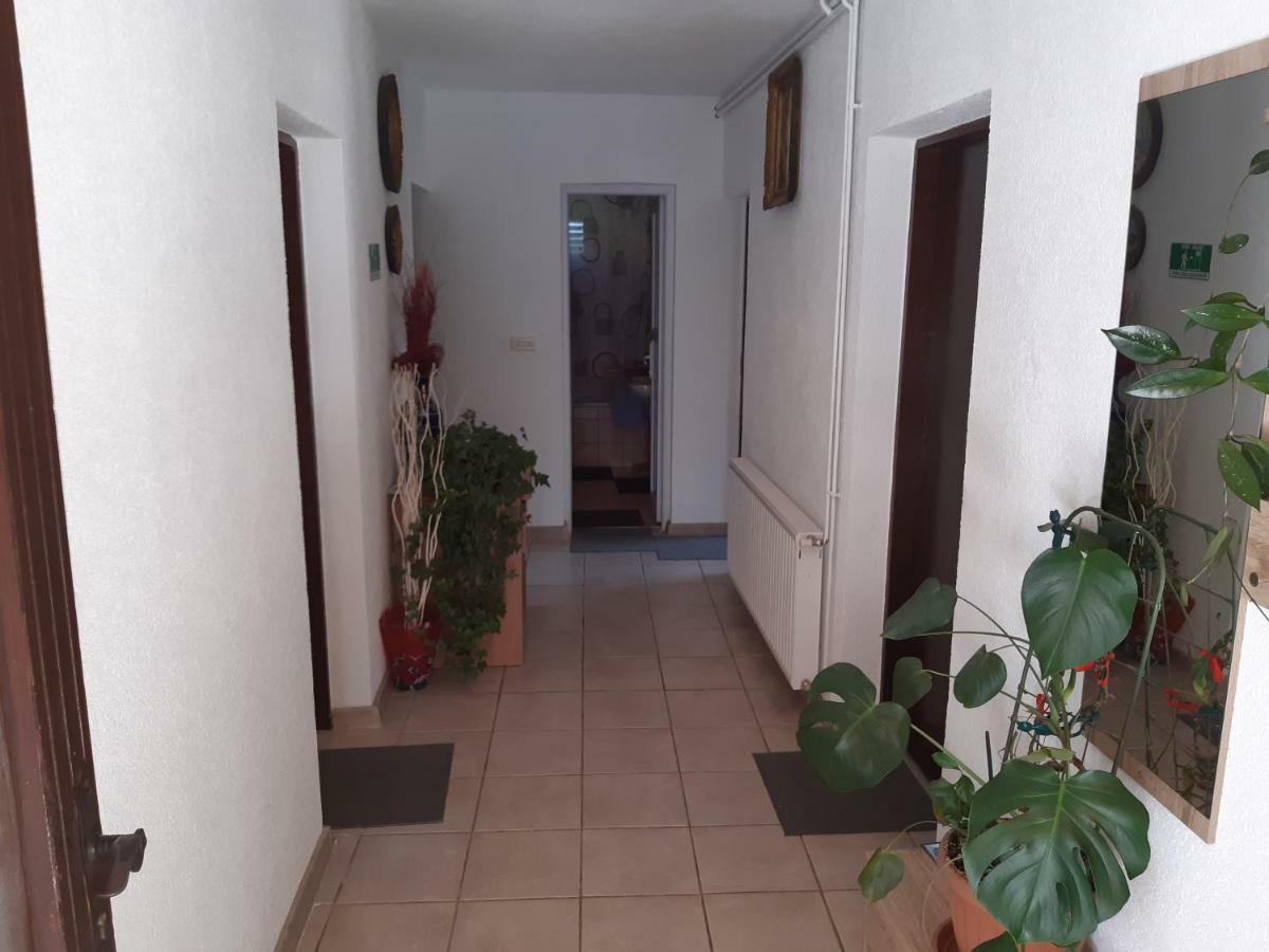 סליסטה דרזניקו Rooms Luka מראה חיצוני תמונה