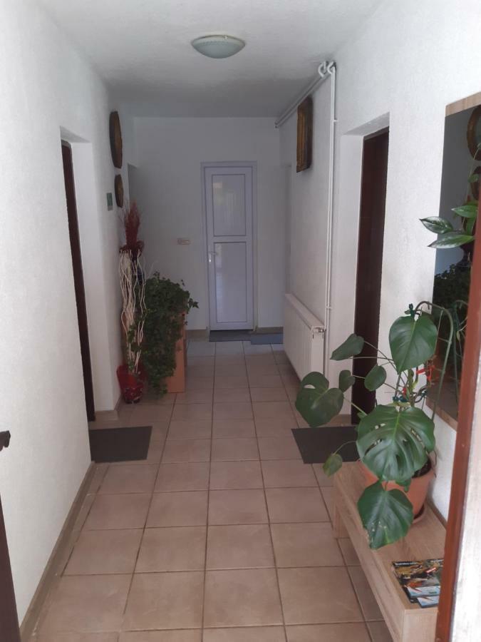 סליסטה דרזניקו Rooms Luka מראה חיצוני תמונה